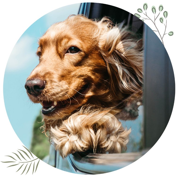 lodging-FAQ